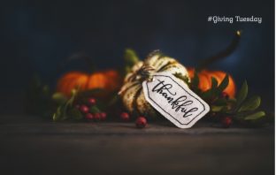 FAIR Gives Thanks For You This #GivingTuesday