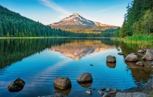 Immigration and the Environment
