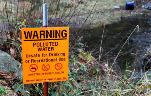 The Harmful Impact of Mass Illegal Migration on Native Tribes from Panama to the U.S.
